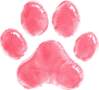 猫爪印